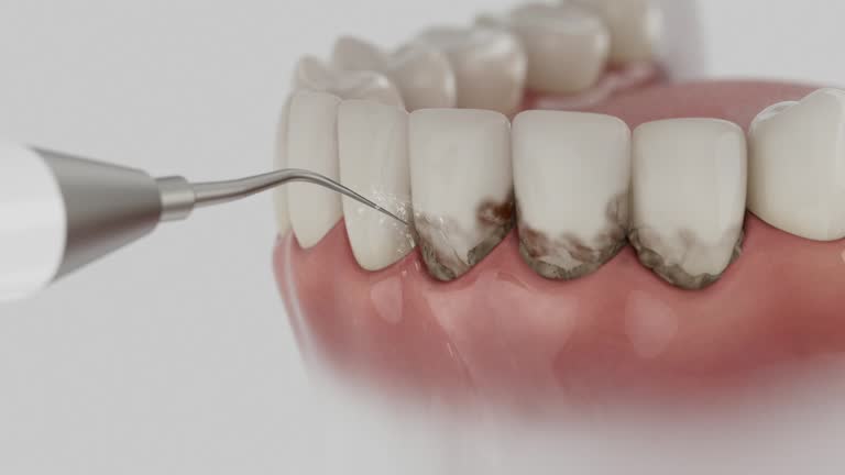 Reliable Dental contractor in Kensington, MD by Dentist Open Now